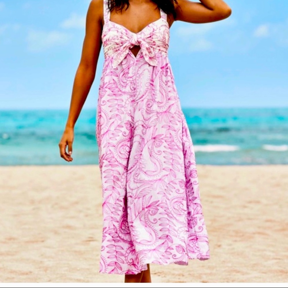 NWT Lilly Dress